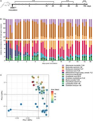 Reproducible Colonization of Germ-Free Mice With the Oligo-Mouse-Microbiota in Different Animal Facilities